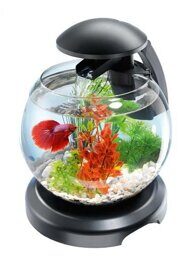 Tetra Cascade Globe аквариумный комплекс черный 6,8 л