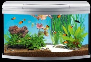 Tetra AquaArt LED аквариумный комплекс 100 л